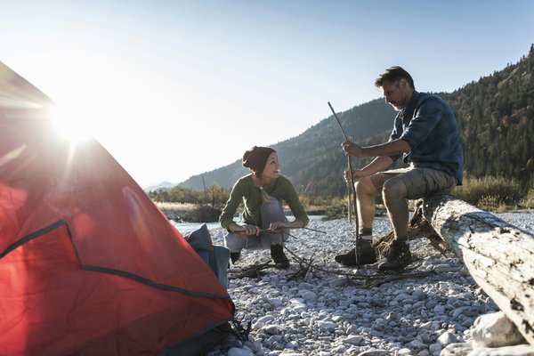 Quels sont les avantages du camping avec des animaux de compagnie et comment s'y préparer ?