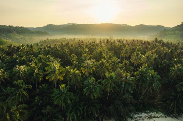 Comment organiser des vacances en Islande avec des excursions pour observer les baleines et des bains chauds naturels?